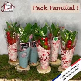 Pack Familial de pots de Muguet Géant Fortin !