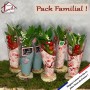 Pack Familial de pots de Muguet Géant Fortin !