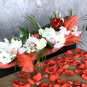 Boîte de fleurs "Brasée d'Orchidées"