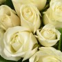 Bouquet "Amour blanc" • Roses blanches