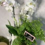 Composition "Bonheur en blanc" Muguet & Orchidée